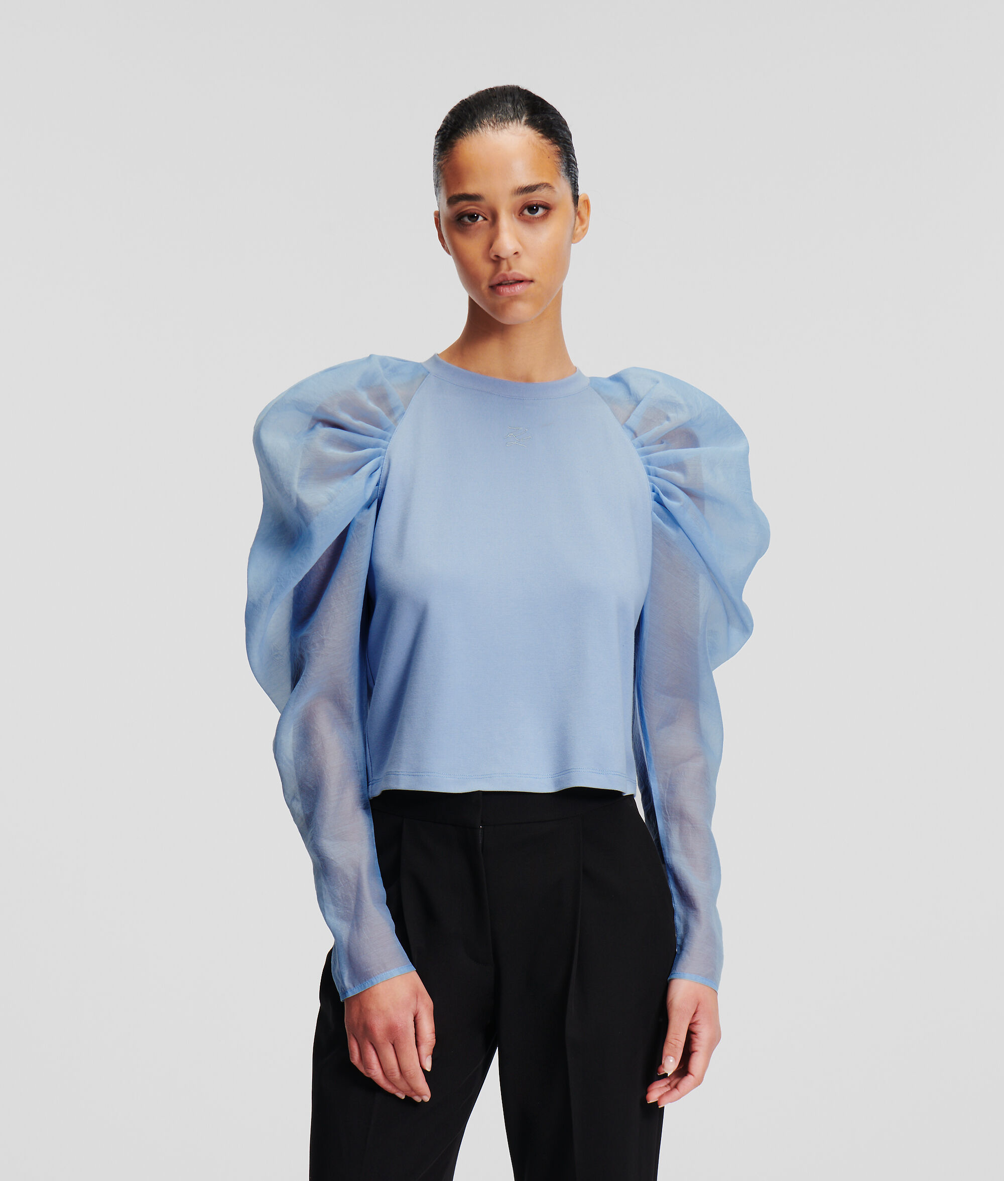 (image for) Robust Organza Sleeve Top Handpicked by Hun Kim